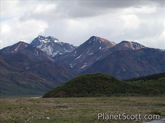 Denali - High Country