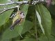 Image from 2010-06-11