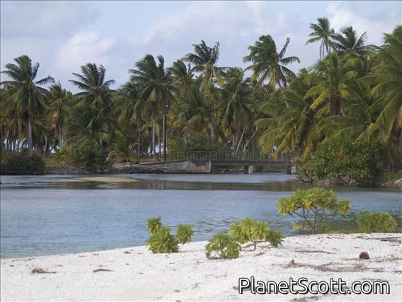 Anaa Bridge