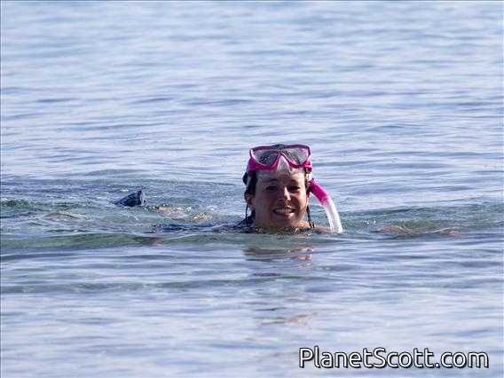 Barbara Swimming