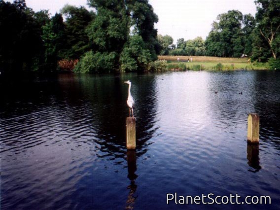 Images for Europe 2001
