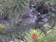 Image from 2010-06-11