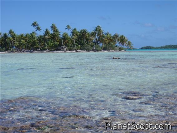 The Blue Lagoon