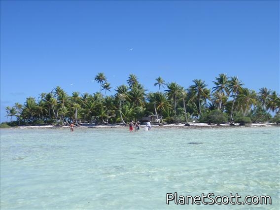 Blue Lagoon, near Rangiroa