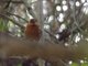 Image from 2011-01-04