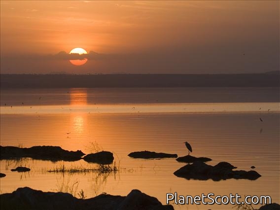 Bishangari Sunset