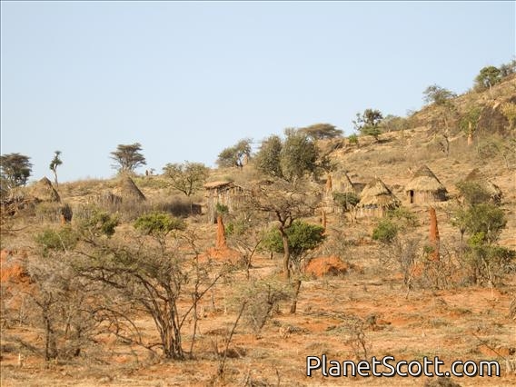 Borena Village