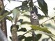 Image from 2011-01-12