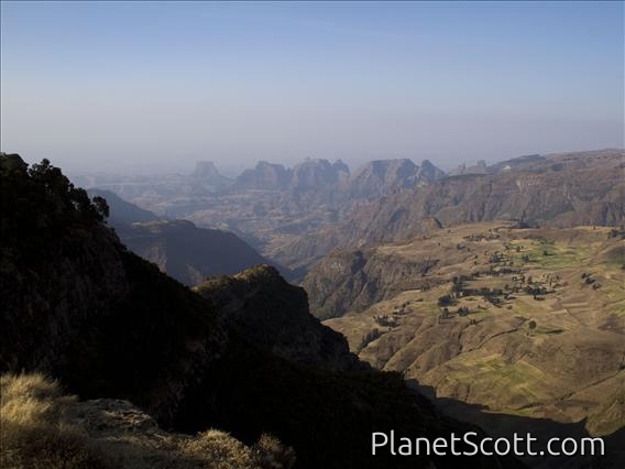 Chennek Overlook