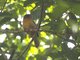 Image from 2011-07-25