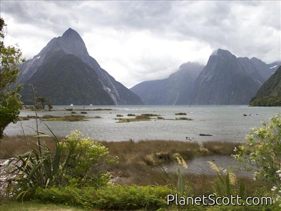 Milford Sound