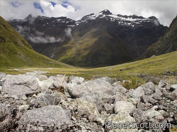 Gertrude Valley