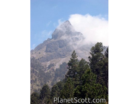 Nevada de Colima National Park, Mexico