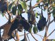 Image from 2012-11-06