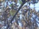 Image from 2012-11-08
