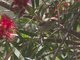 Image from 2012-11-09