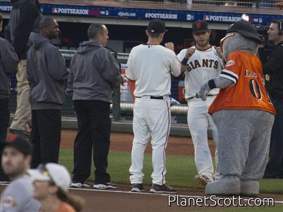 Brandon Crawford