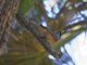 Image from 2012-11-21