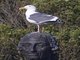 Image from 2012-12-02