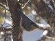 Image from 2013-01-08