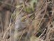 Image from 2013-01-09