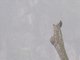 Image from 2013-01-16
