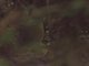 Image from 2013-01-19