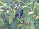 Image from 2013-01-23