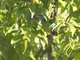 Image from 2013-01-23