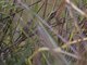 Image from 2013-01-24