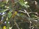 Image from 2013-01-31