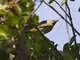 Image from 2013-01-31