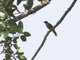 Image from 2013-01-31