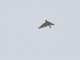 Image from 2013-02-02