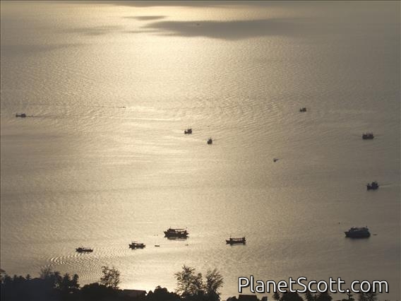 Ko Tao Harbor - Photo by Ian.
