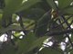 Image from 2013-02-10