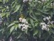Image from 2013-02-10