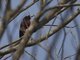 Image from 2013-02-16