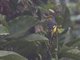 Image from 2013-02-16