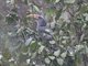 Image from 2013-02-19