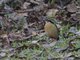 Image from 2013-02-19