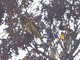 Image from 2013-02-19