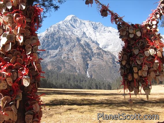 Jade Dragon Snow Mountain