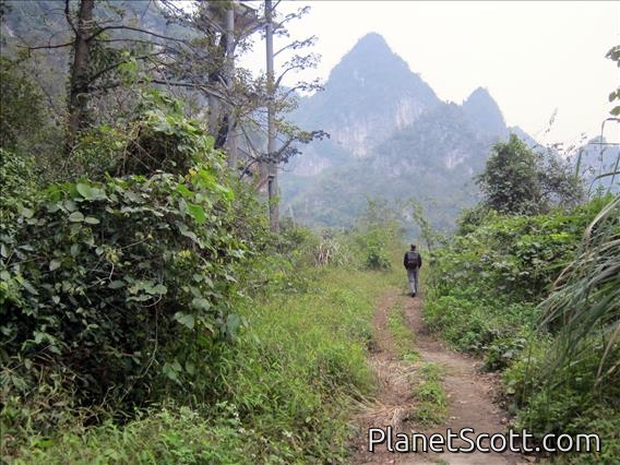 Chongzuo Eco-Park Trail