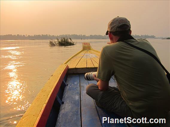 In Search of the Mekong Wagtail