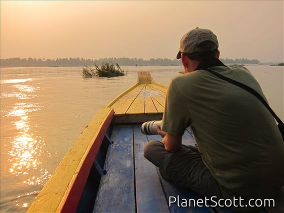 In Search of the Mekong Wagtail