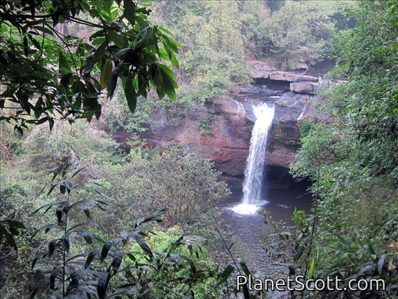 Khao Yai National Park Waterfall