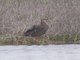 Image from 2013-04-19