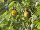 Image from 2013-04-19