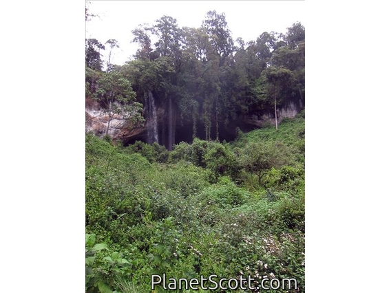 Mt. Elgon Cave